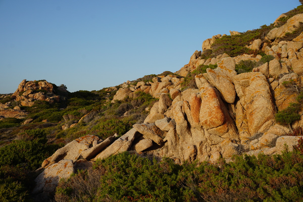 Picture France Corsica Tonnara Beach 2017-07 39 - Resorts Tonnara Beach