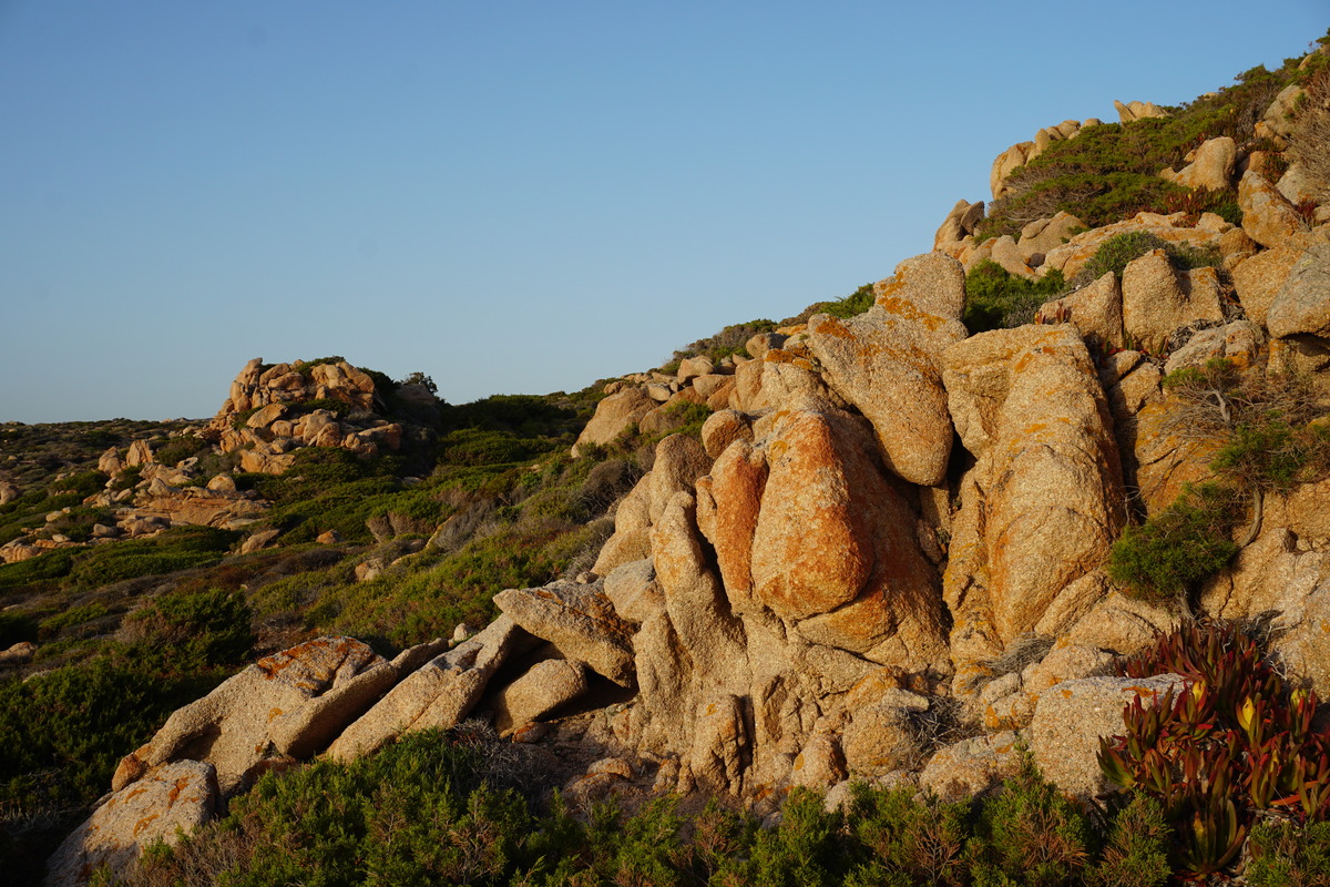 Picture France Corsica Tonnara Beach 2017-07 34 - Sunset Tonnara Beach