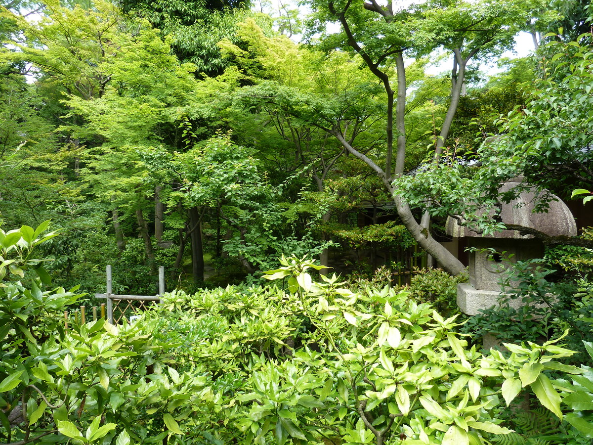 Picture Japan Tokyo Nezu Museum 2010-06 40 - Lands Nezu Museum