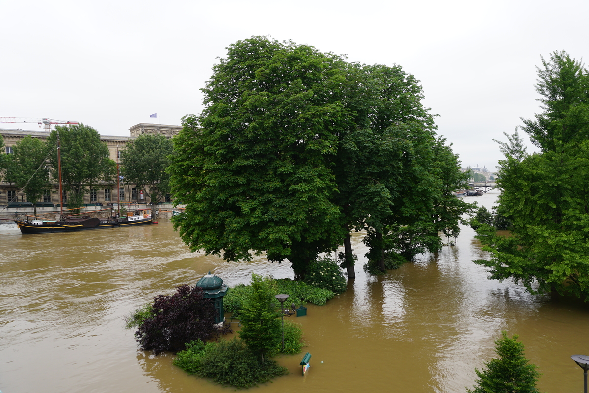 Picture France Paris Seine river 2016-06 52 - Winter Seine river