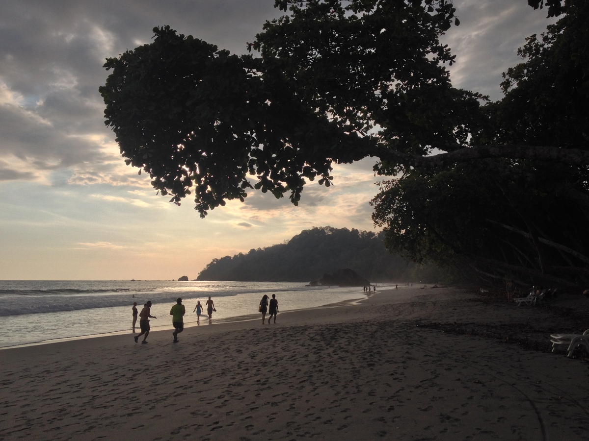 Picture Costa Rica Manuel Antonio 2015-03 426 - Monuments Manuel Antonio