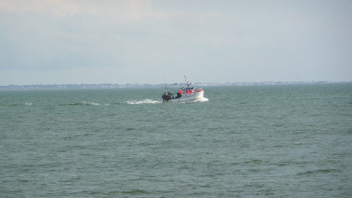 Picture France Prefailles Prefailles to Port Meuleu 2007-07 42 - Lands Prefailles to Port Meuleu