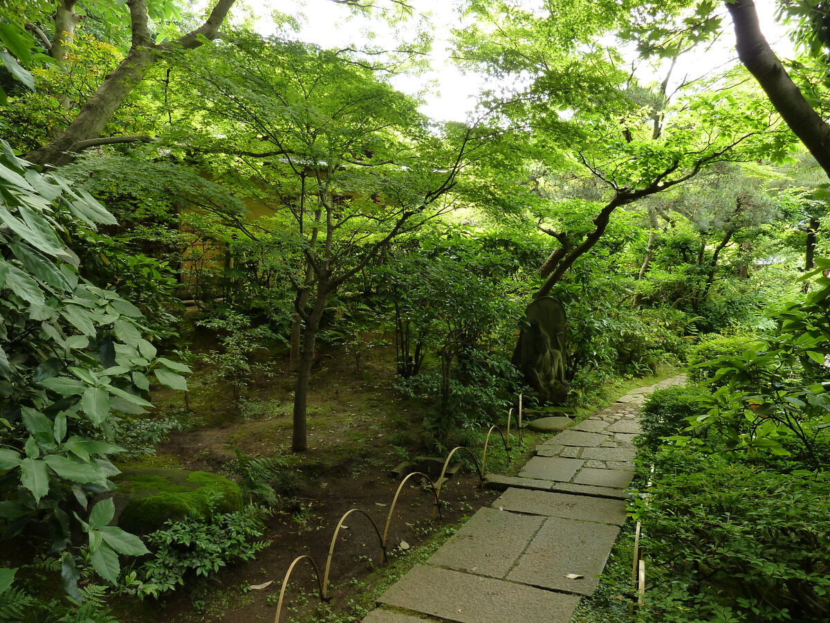 Picture Japan Tokyo Nezu Museum 2010-06 38 - Lakes Nezu Museum