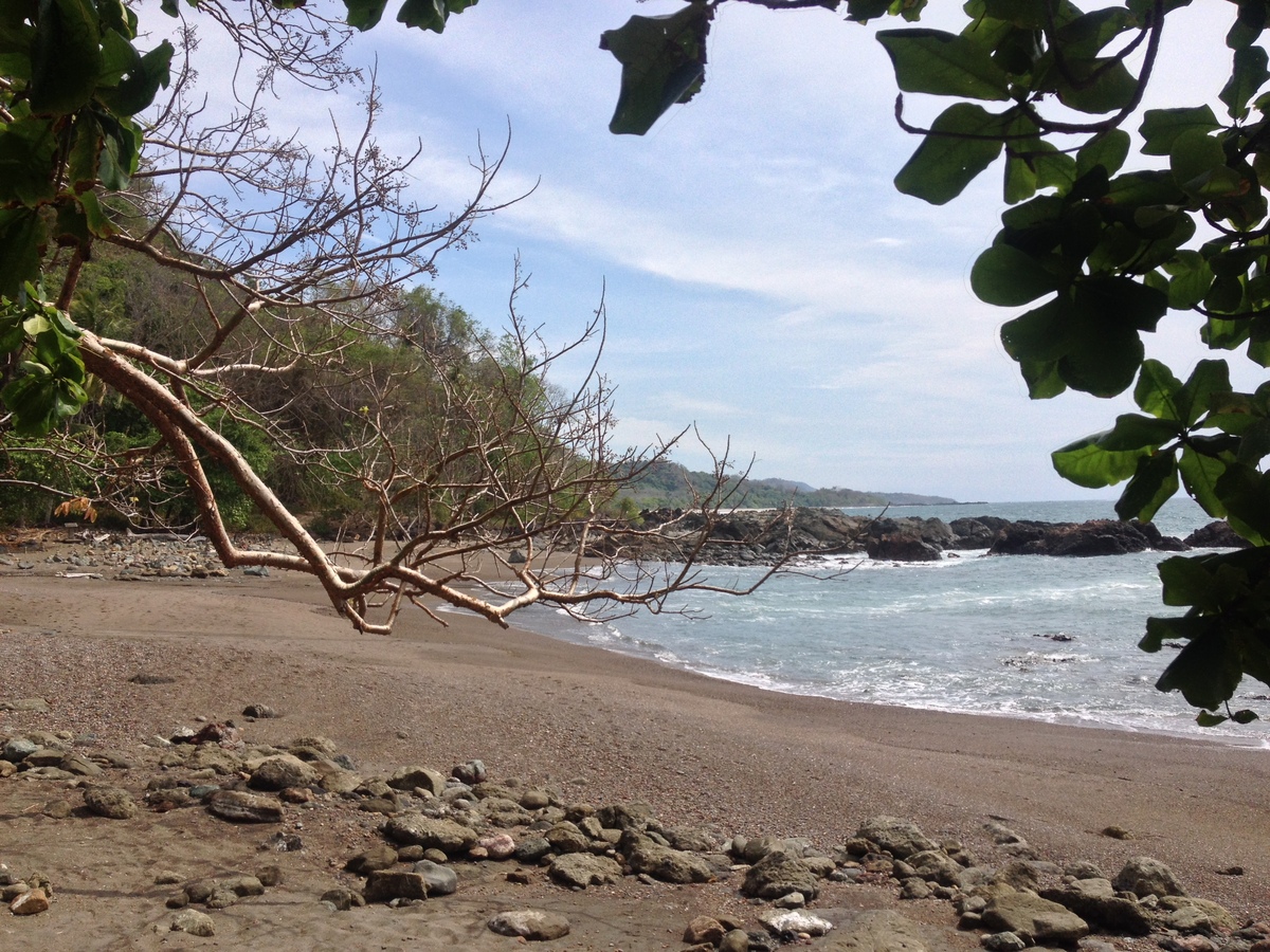 Picture Costa Rica Montezuma 2015-03 488 - Resorts Montezuma