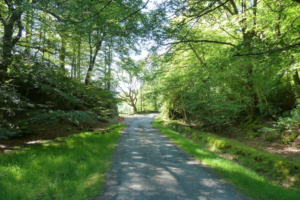 Picture United Kingdom Scotland Salen 2011-07 58 - Lakes Salen