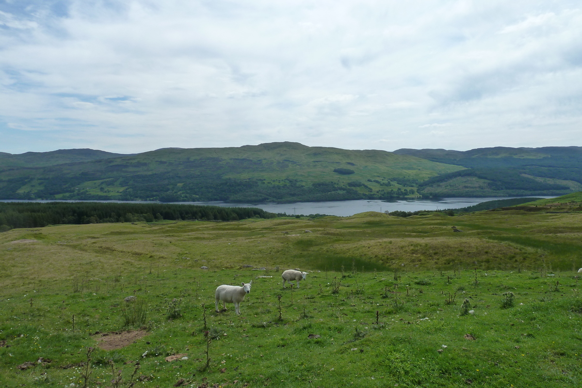 Picture United Kingdom The Trossachs 2011-07 76 - Hot Season The Trossachs