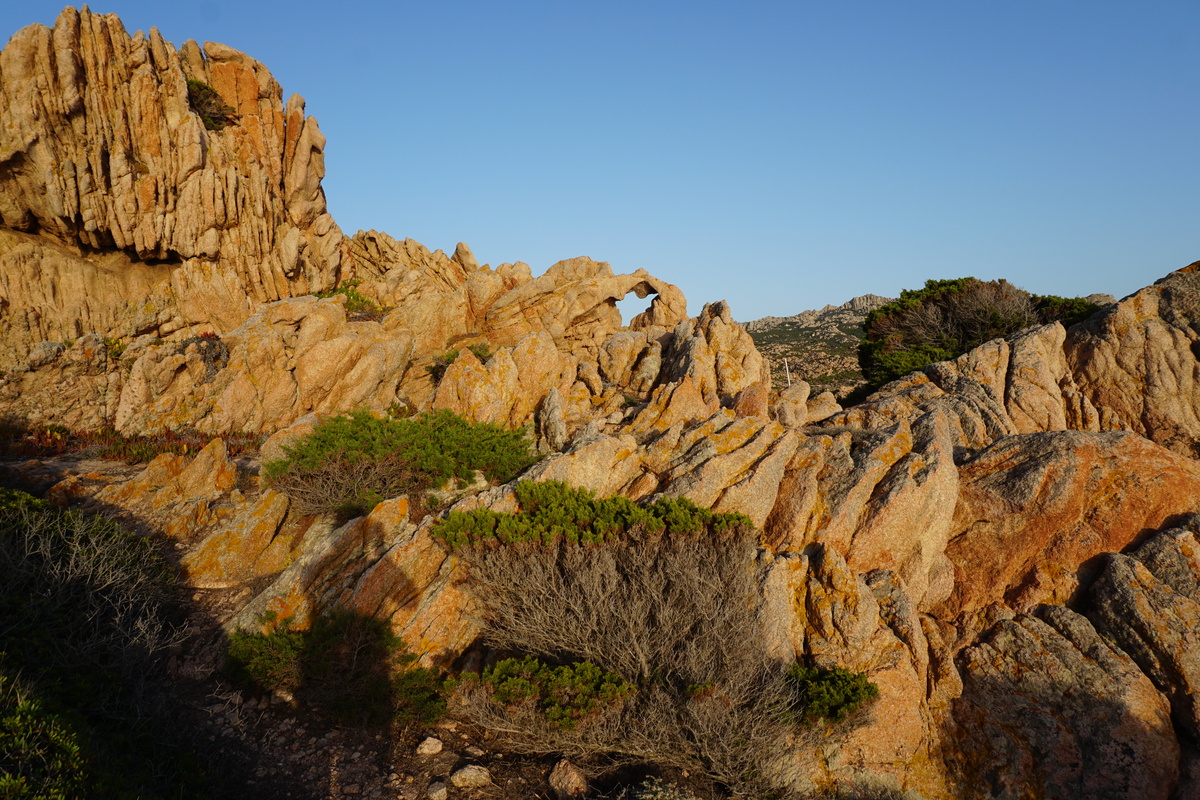 Picture France Corsica Tonnara Beach 2017-07 37 - Resort Tonnara Beach