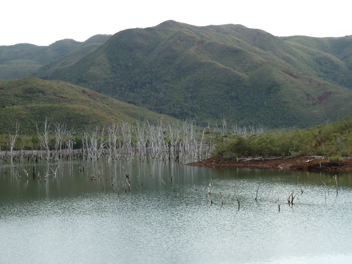 Picture New Caledonia Parc de la Riviere Bleue 2010-05 91 - Lake Parc de la Riviere Bleue