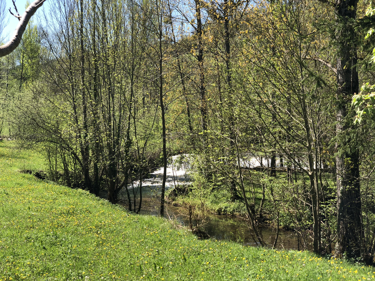 Picture France Conques 2018-04 90 - Hotels Conques