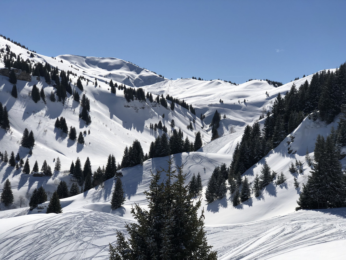 Picture France Megeve 2019-03 7 - Spring Megeve