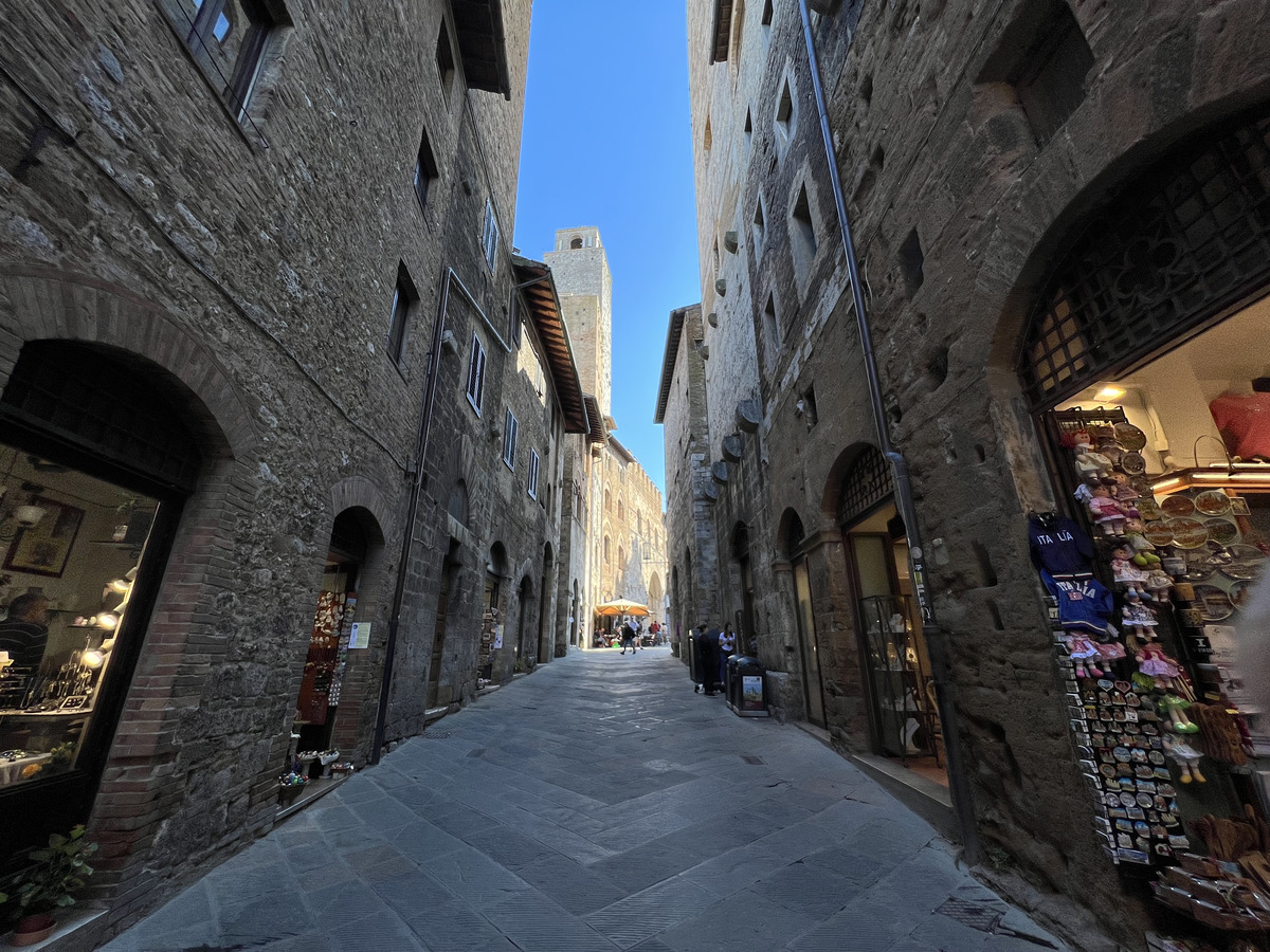 Picture Italy San Gimignano 2021-09 126 - City View San Gimignano