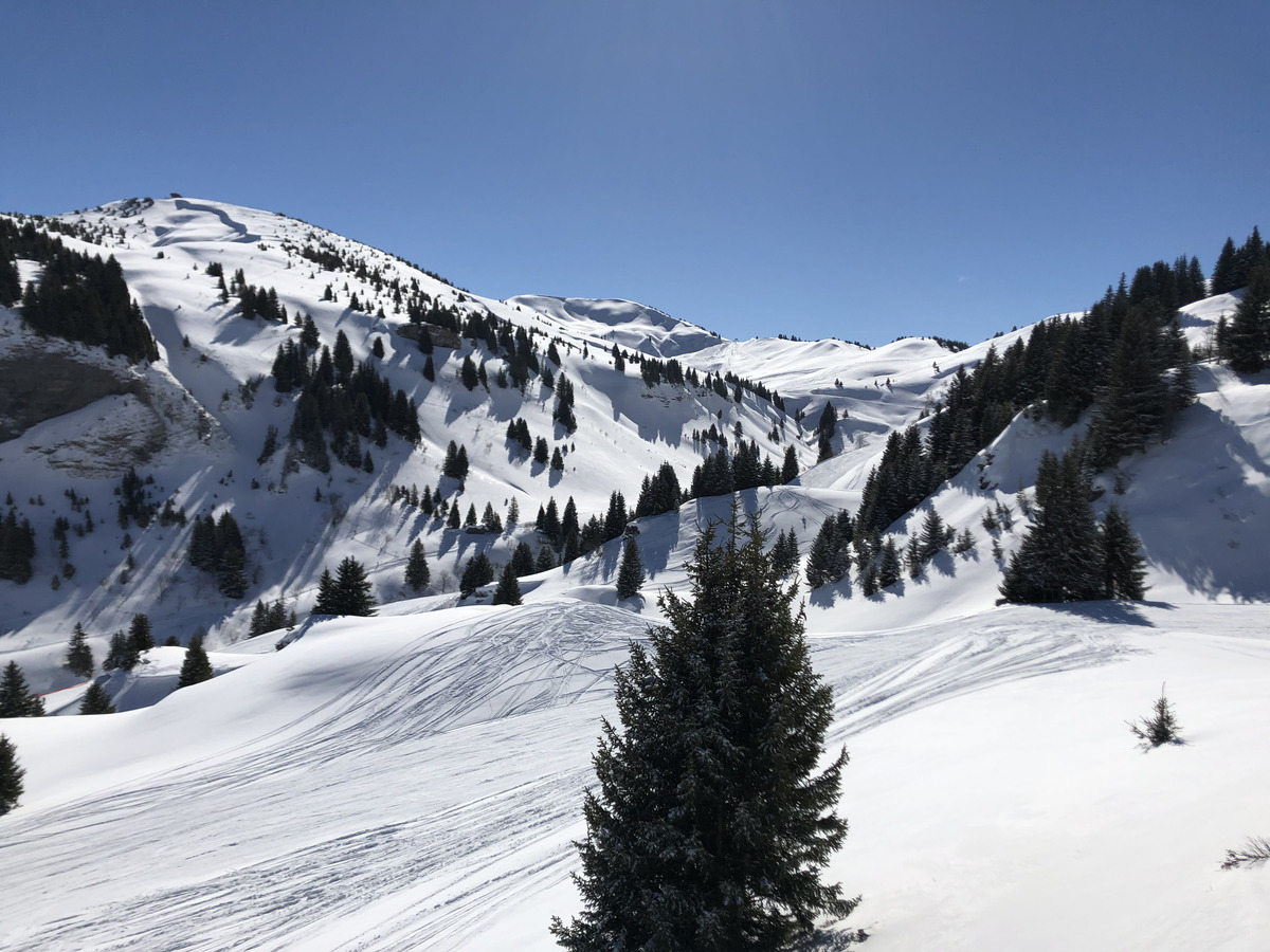 Picture France Megeve 2019-03 90 - French Restaurant Megeve