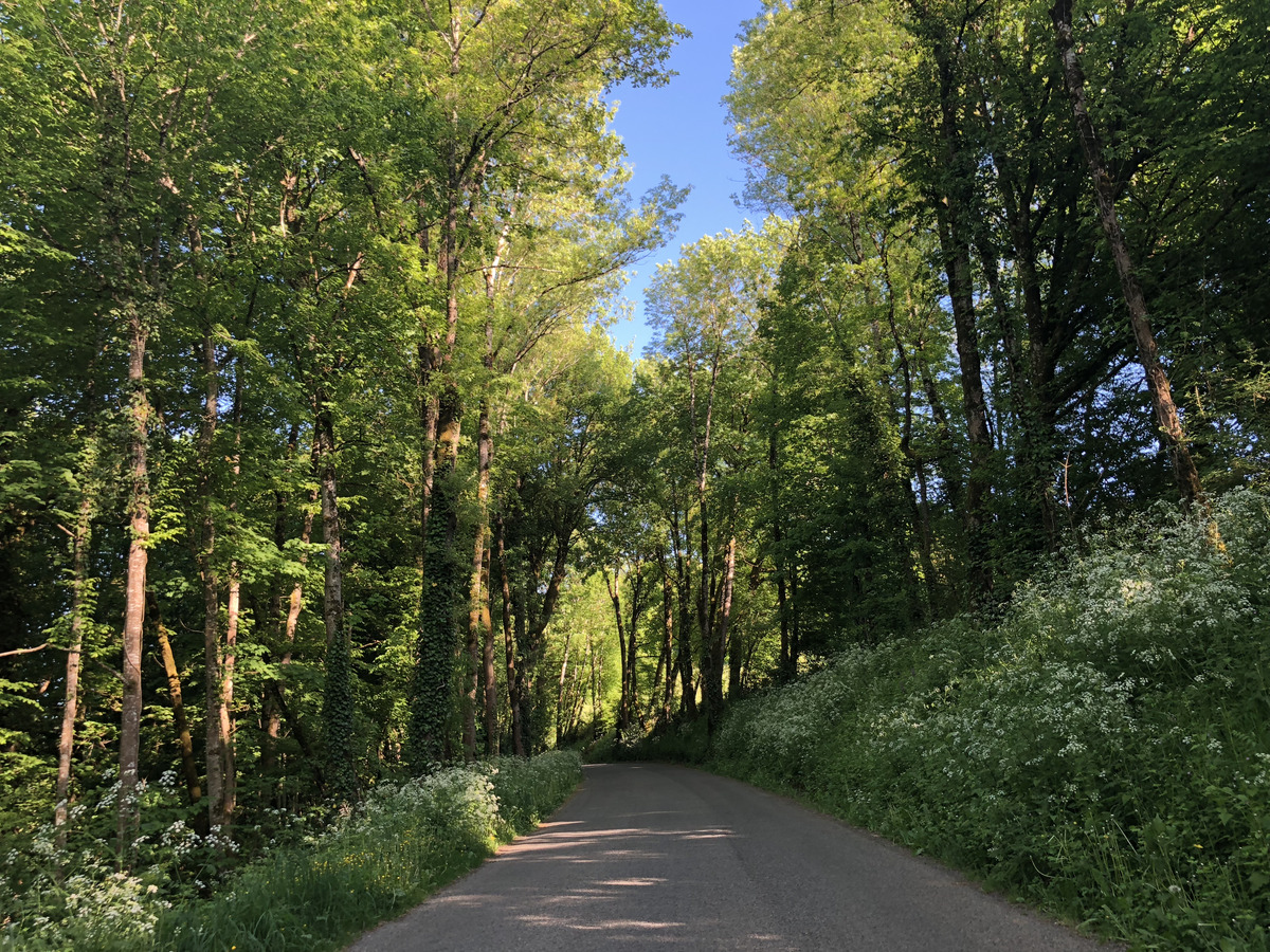 Picture France Floirac 2018-04 17 - Rain Season Floirac