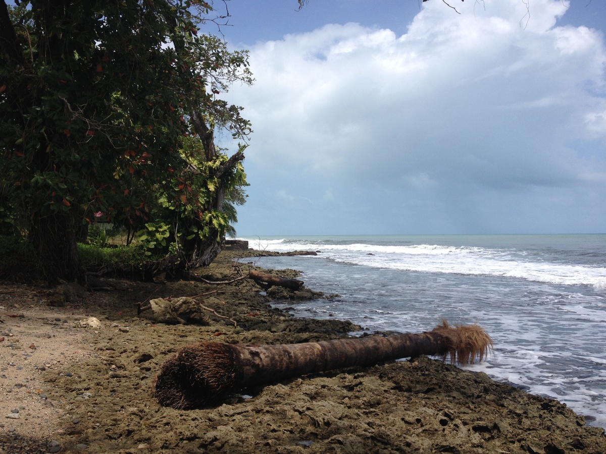 Picture Costa Rica Cahuita 2015-03 132 - City Cahuita