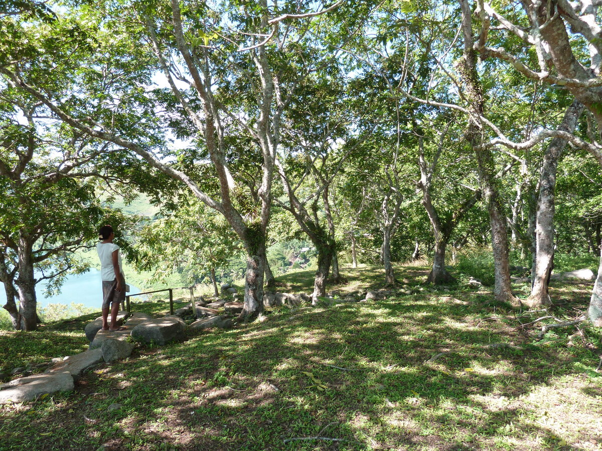 Picture Fiji Tavuni Hill Fort 2010-05 0 - Room Tavuni Hill Fort