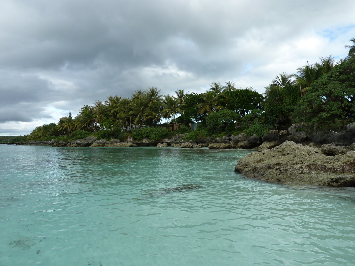 Picture New Caledonia Lifou We 2010-05 7 - Savings We