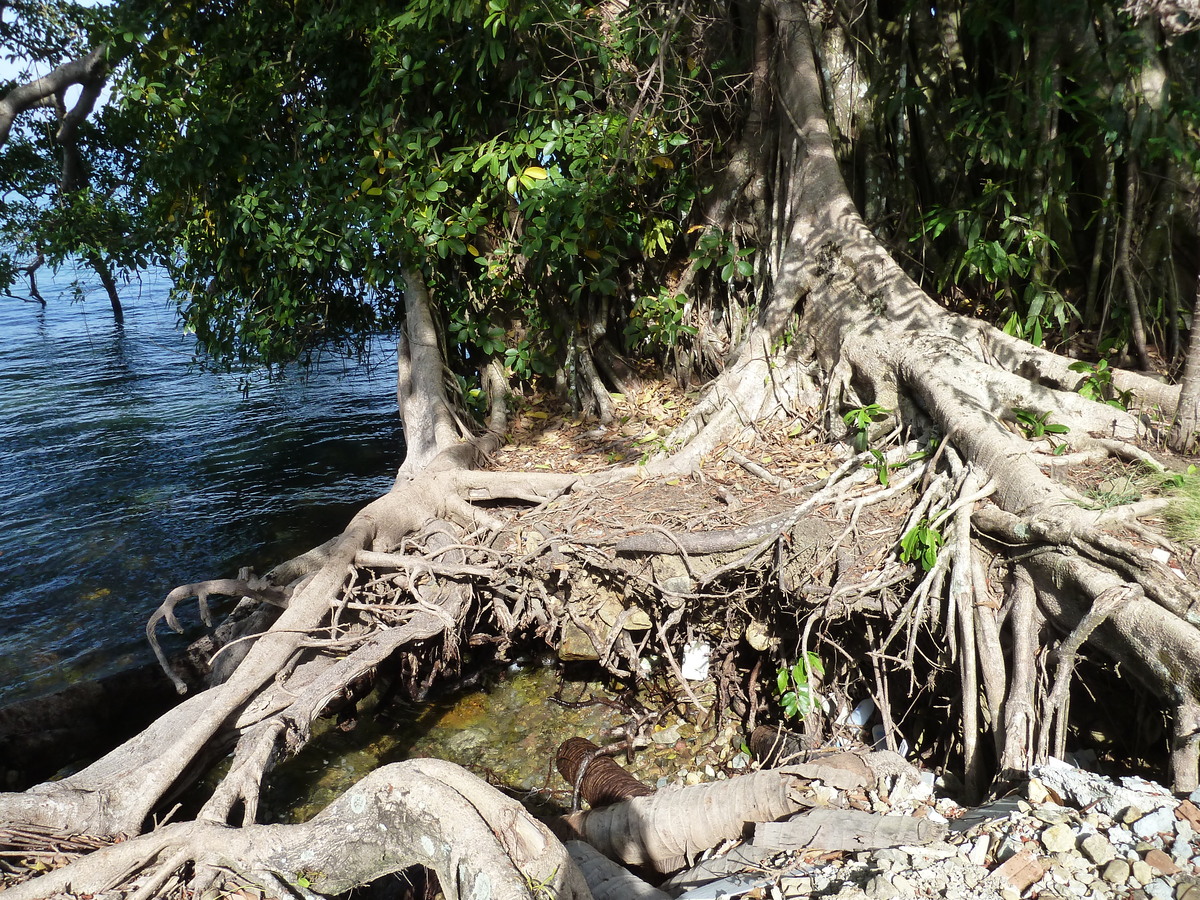 Picture Thailand Ko Chang 2011-12 0 - Lake Ko Chang