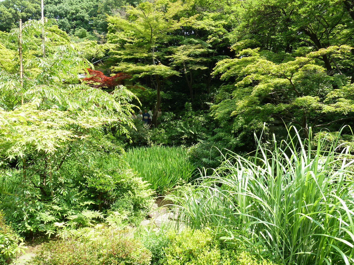 Picture Japan Tokyo Nezu Museum 2010-06 36 - Waterfalls Nezu Museum