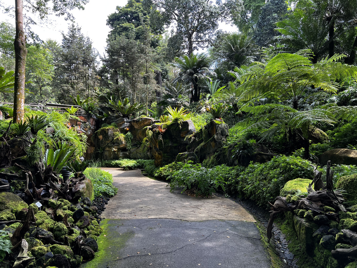 Picture Singapore Singapore Botanic Gardens 2023-01 37 - Monuments Singapore Botanic Gardens