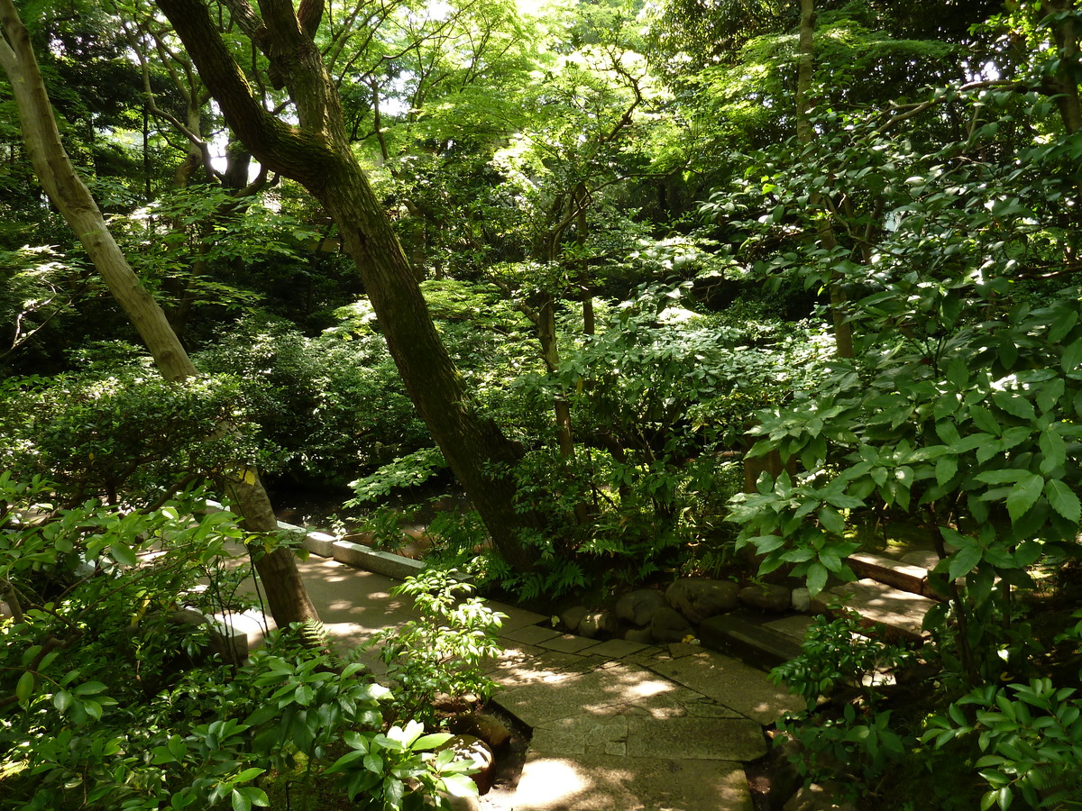 Picture Japan Tokyo Nezu Museum 2010-06 22 - Hot Season Nezu Museum