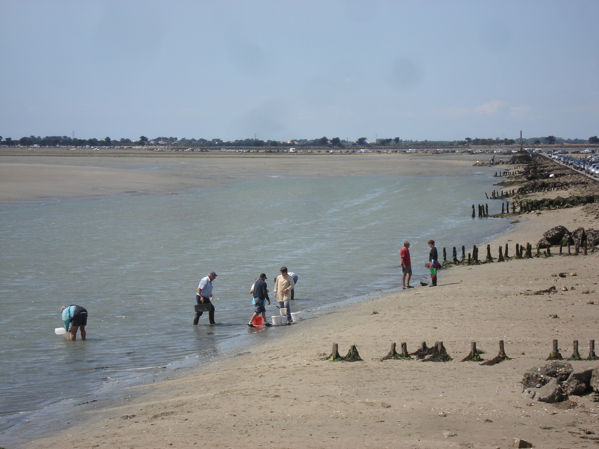 Picture France Le Gois 2006-08 20 - Winter Le Gois