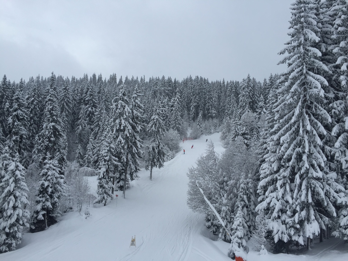 Picture France Megeve 2016-02 38 - Hotel Pool Megeve