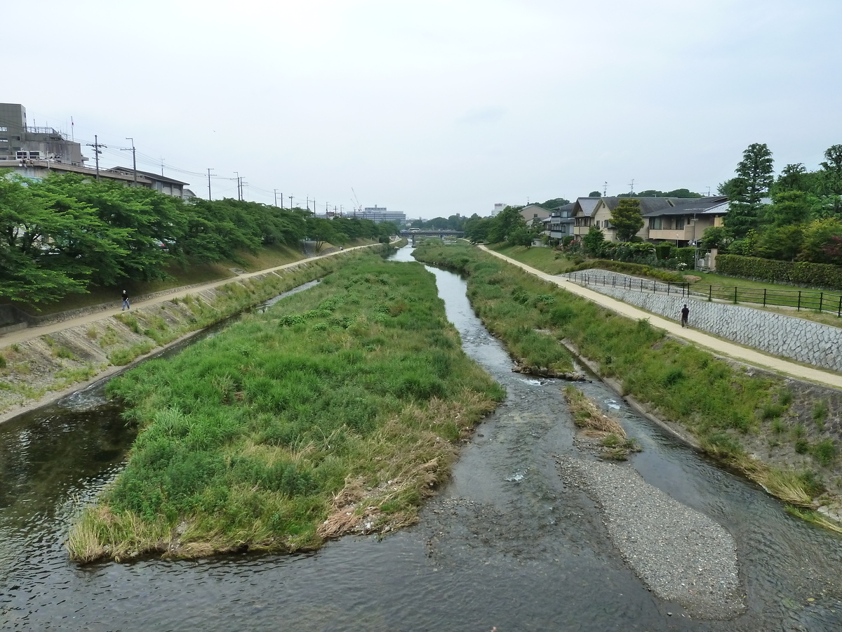 Picture Japan Kyoto Kamo River 2010-06 37 - Saving Kamo River