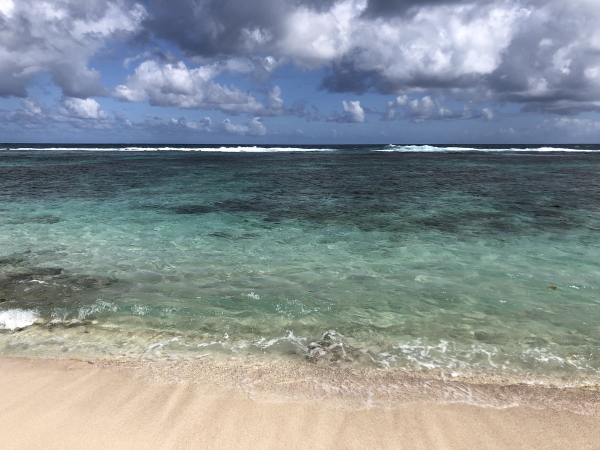 Picture Guadeloupe Grande Anse des Salines Beach 2021-02 9 - Lake Grande Anse des Salines Beach