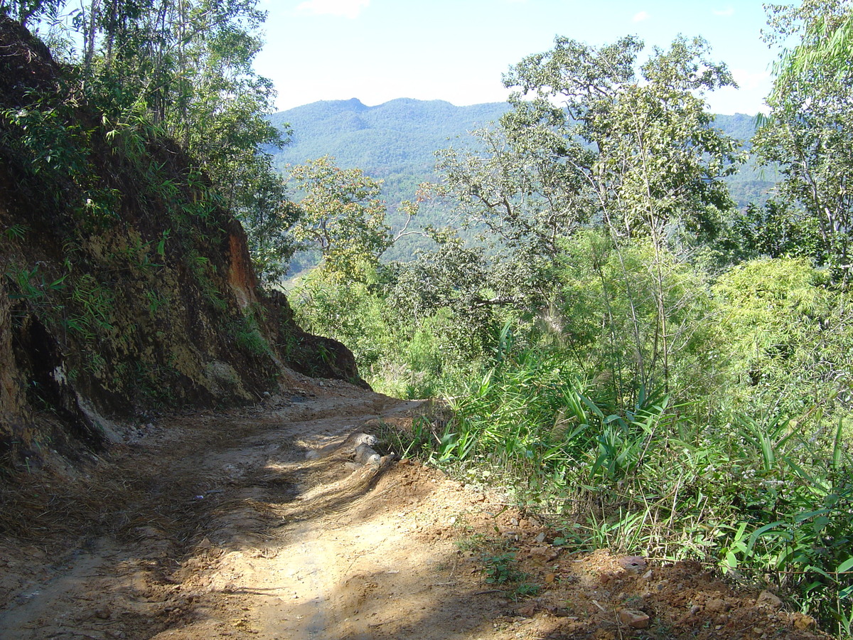 Picture Thailand Pang ma pha 2005-12 25 - Rain Season Pang ma pha