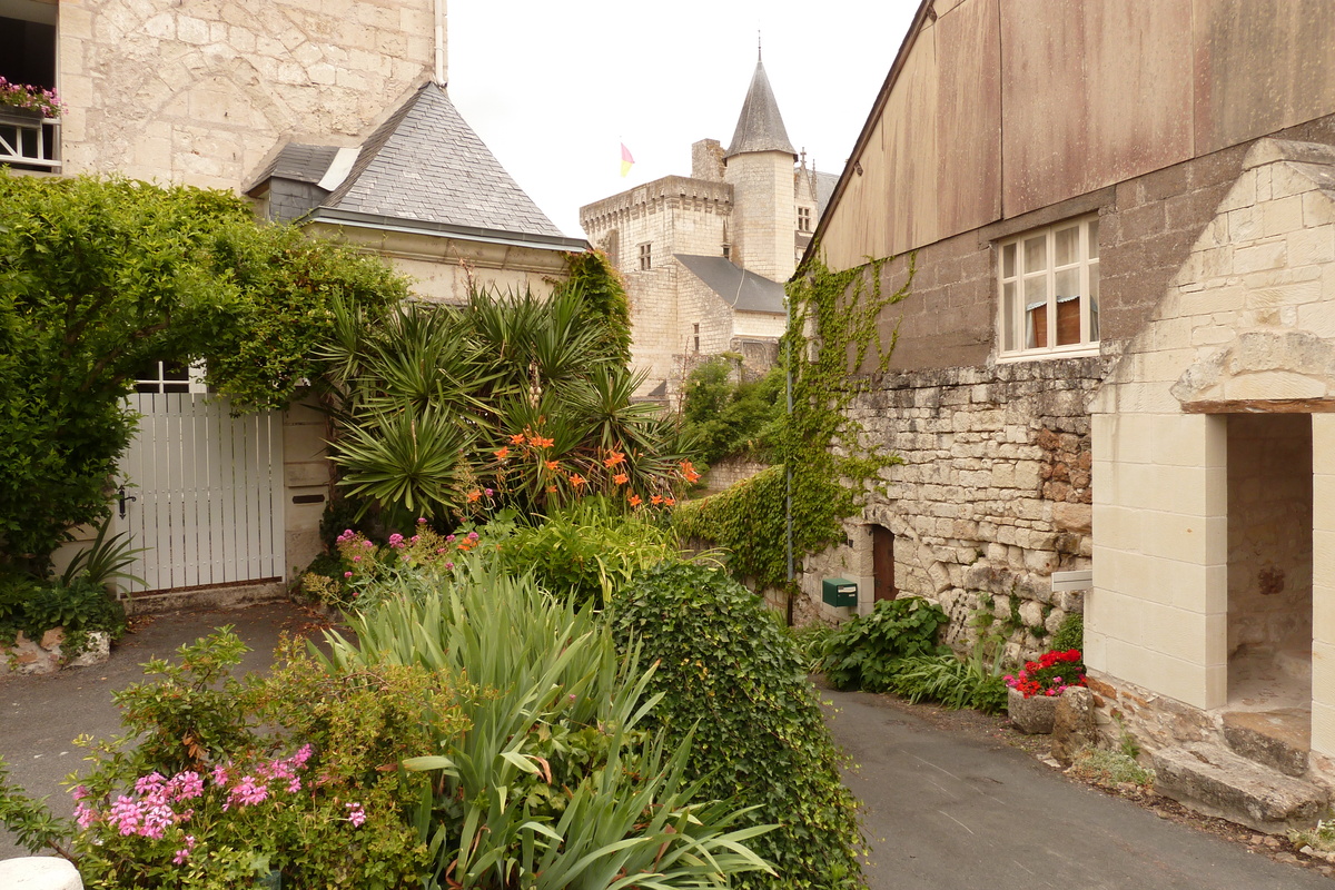 Picture France Montsoreau Castle 2011-05 201 - Spring Montsoreau Castle