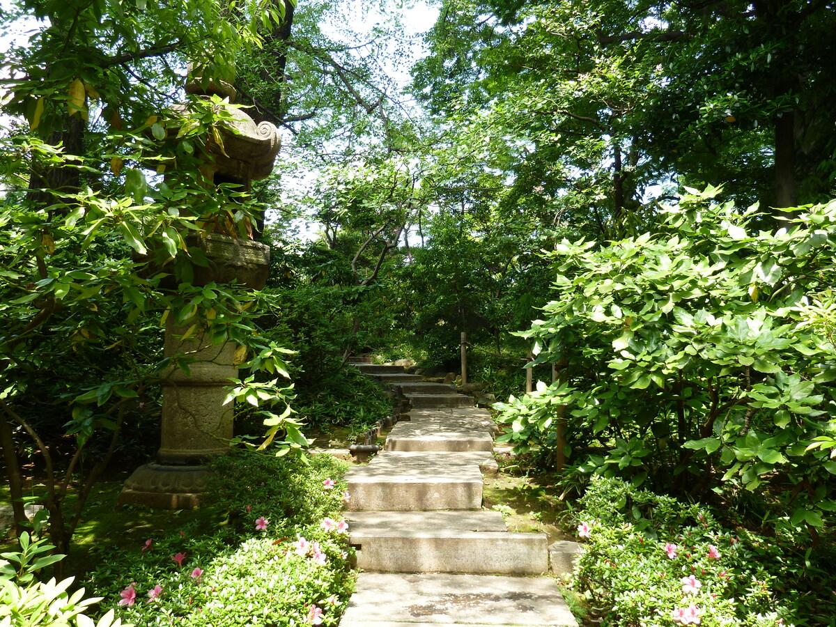 Picture Japan Tokyo Nezu Museum 2010-06 21 - Resorts Nezu Museum