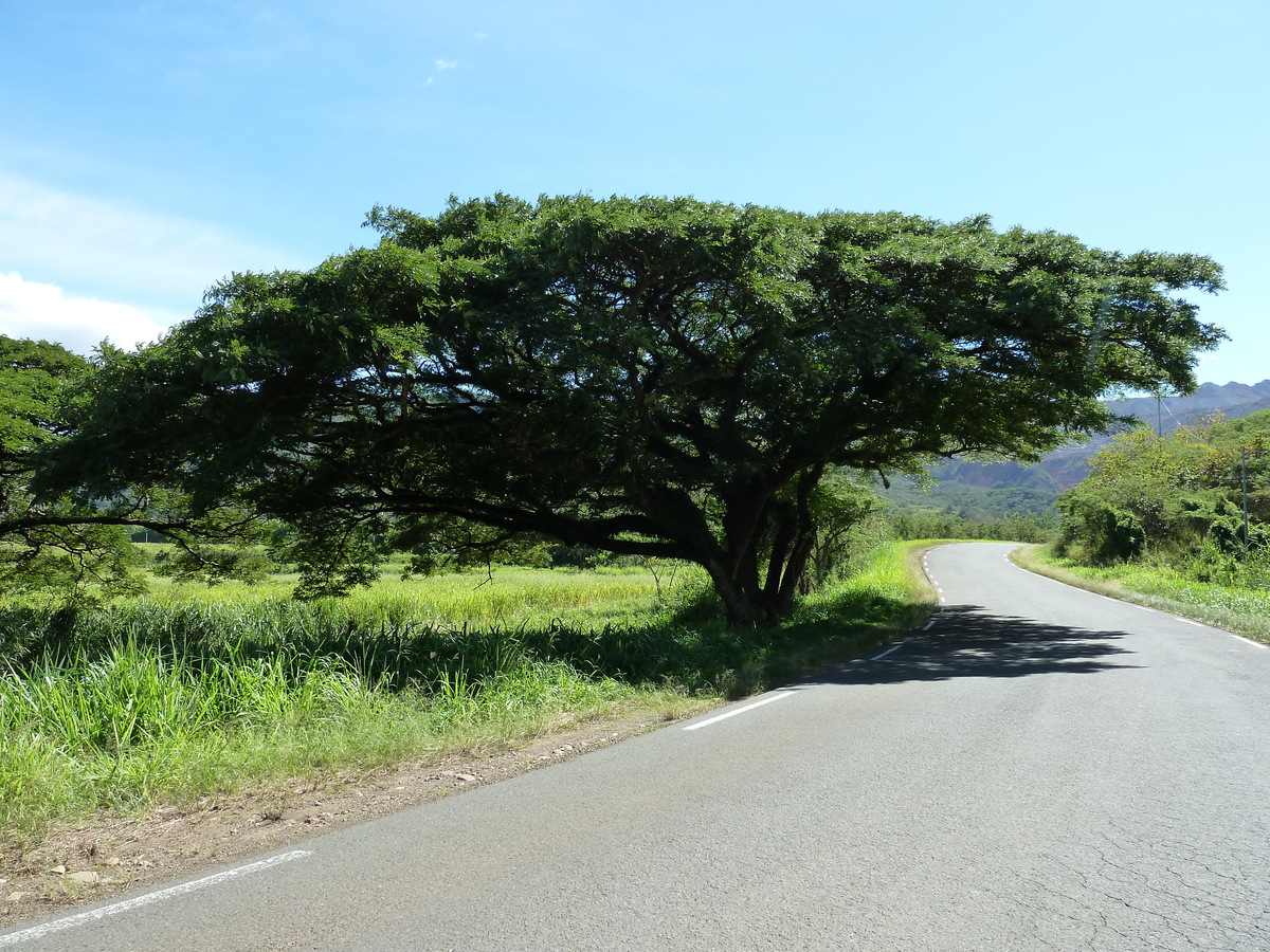 Picture New Caledonia Tontouta to Thio road 2010-05 100 - Land Tontouta to Thio road