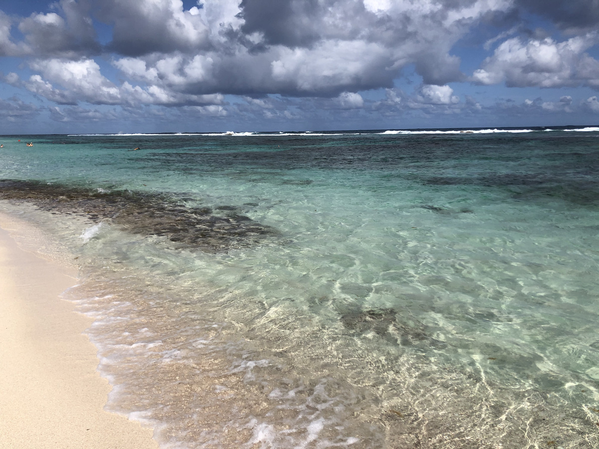 Picture Guadeloupe Grande Anse des Salines Beach 2021-02 1 - French Restaurant Grande Anse des Salines Beach