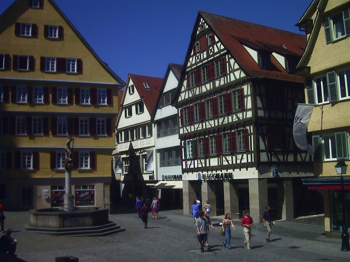 Picture Germany Tubingen 2000-05 11 - Hotel Pool Tubingen