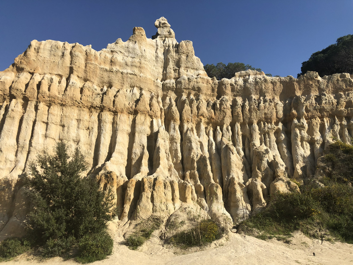 Picture France Orgues d'Ille Sur Tet 2018-04 54 - Lake Orgues d'Ille Sur Tet