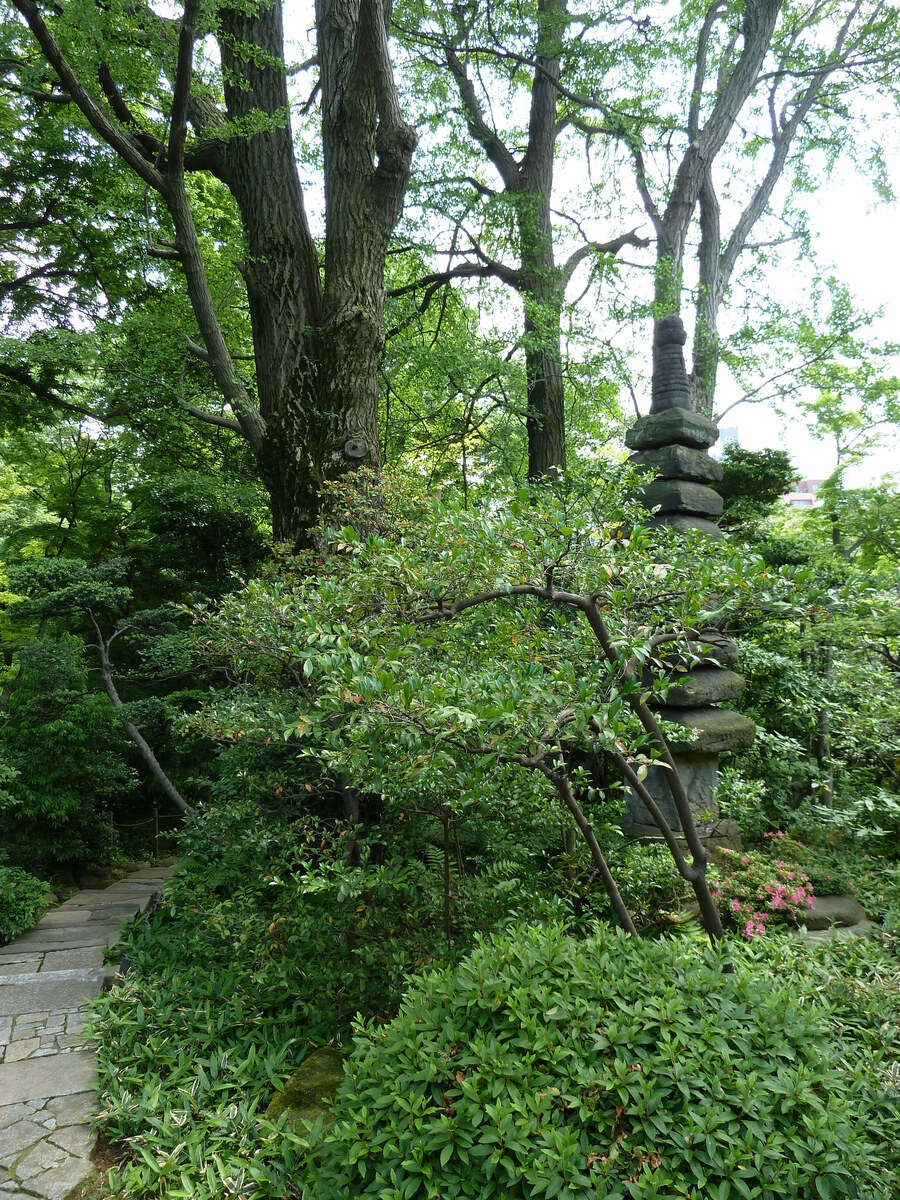 Picture Japan Tokyo Nezu Museum 2010-06 7 - Spring Nezu Museum