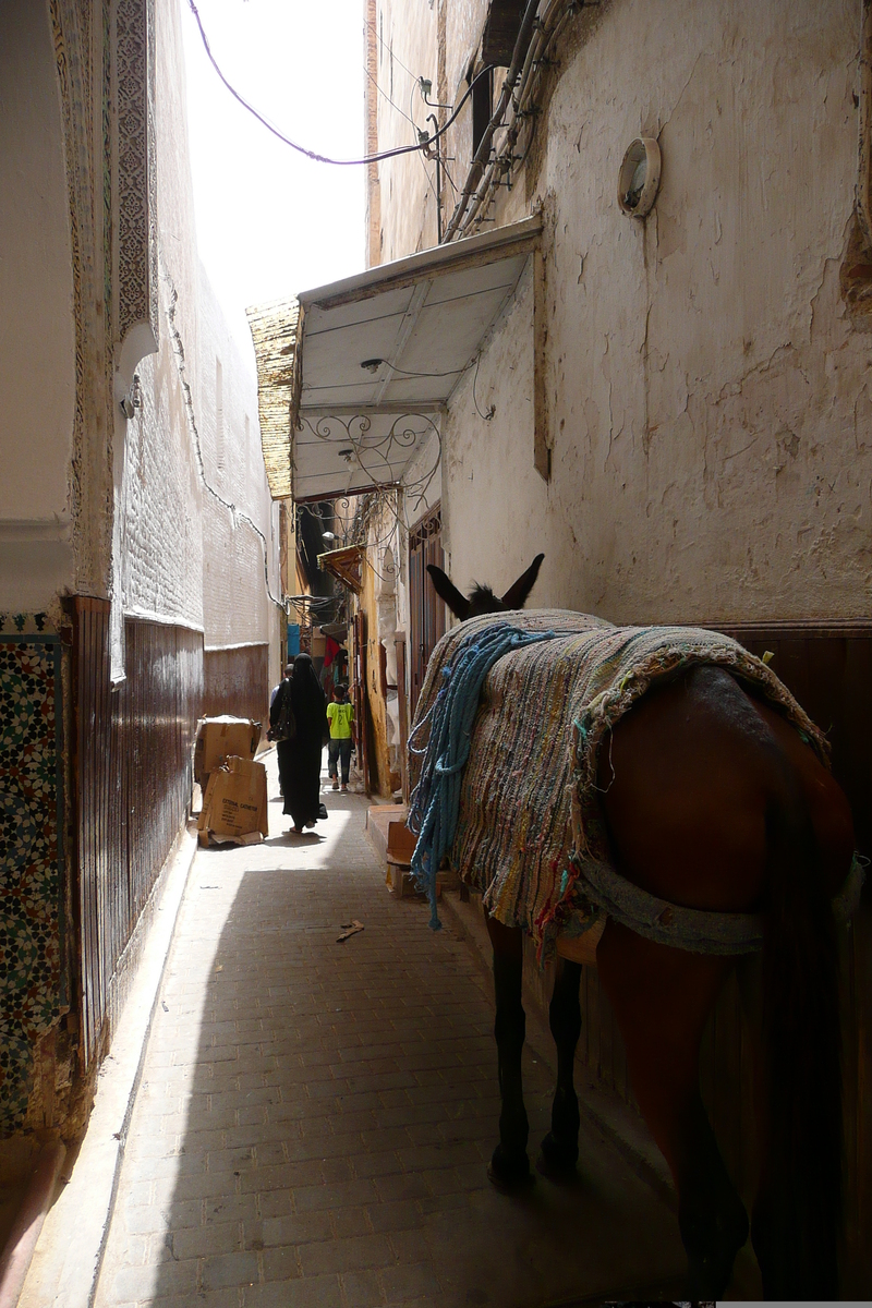 Picture Morocco Fes 2008-07 30 - Room Fes