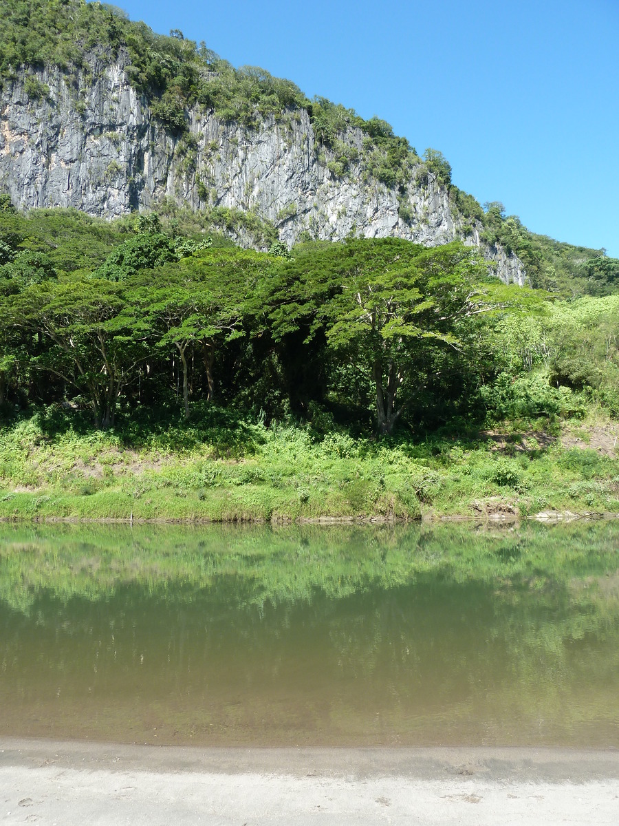 Picture Fiji Sigatoka river 2010-05 89 - Cost Sigatoka river