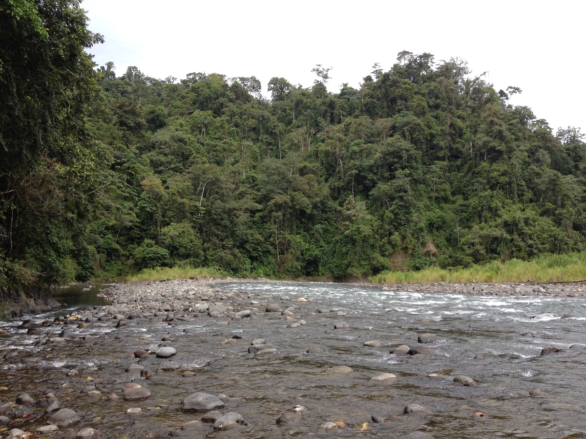 Picture Costa Rica Pacuare River 2015-03 166 - Cheap Room Pacuare River