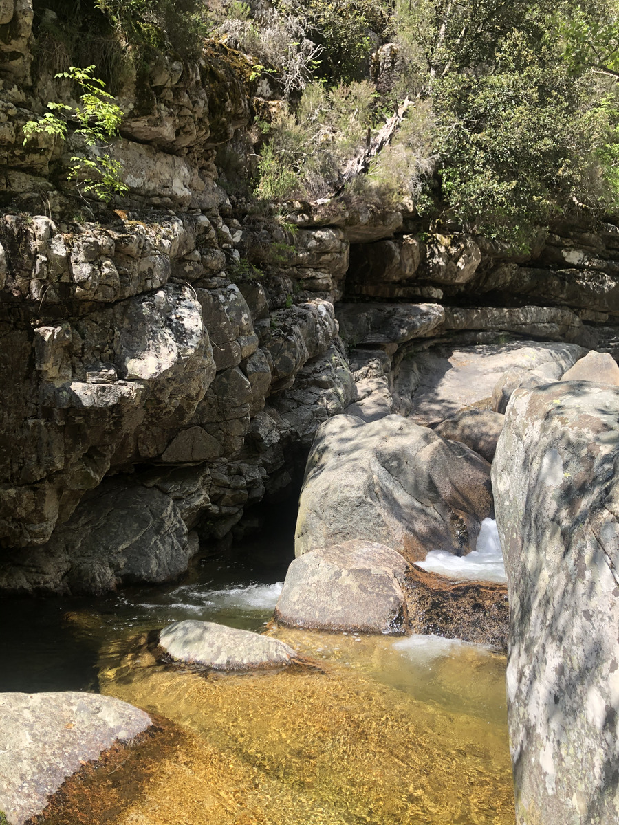 Picture France Corsica Aitone Forest 2021-06 7 - Waterfall Aitone Forest