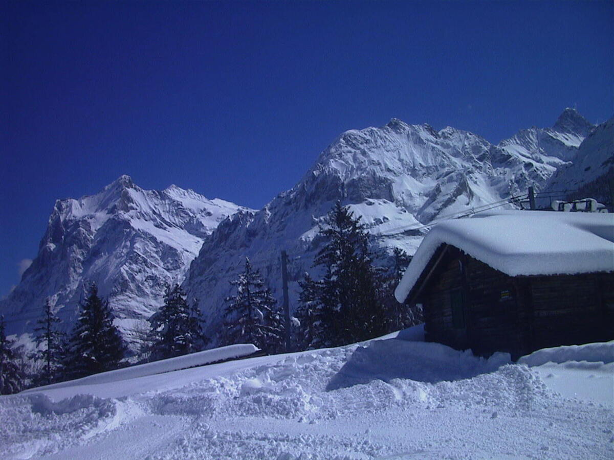 Picture Swiss Grindelwald 1999-04 16 - Rooms Grindelwald