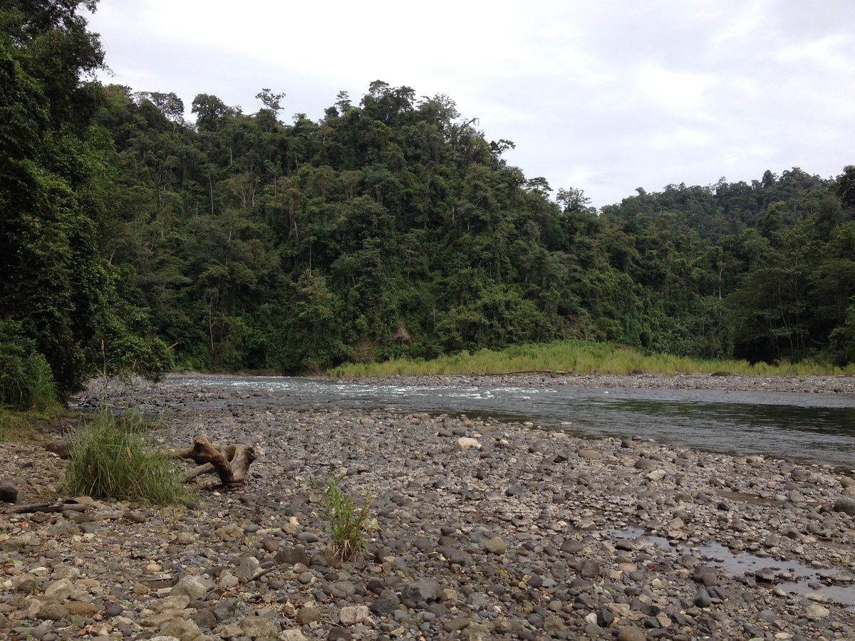 Picture Costa Rica Pacuare River 2015-03 181 - Land Pacuare River