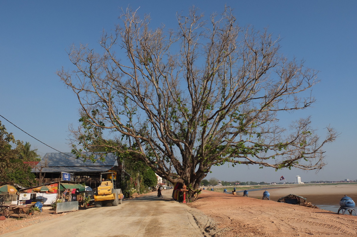 Picture Laos Vientiane 2012-12 230 - Weather Vientiane