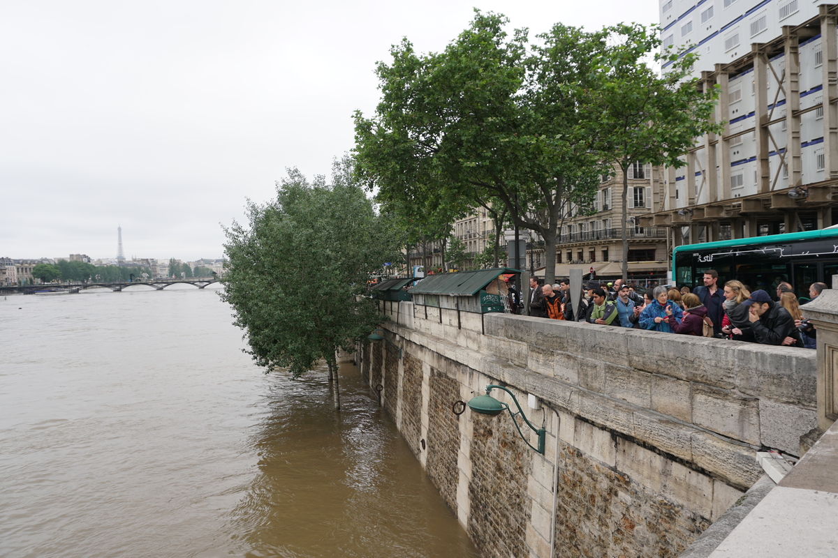 Picture France Paris Seine river 2016-06 51 - Hotels Seine river