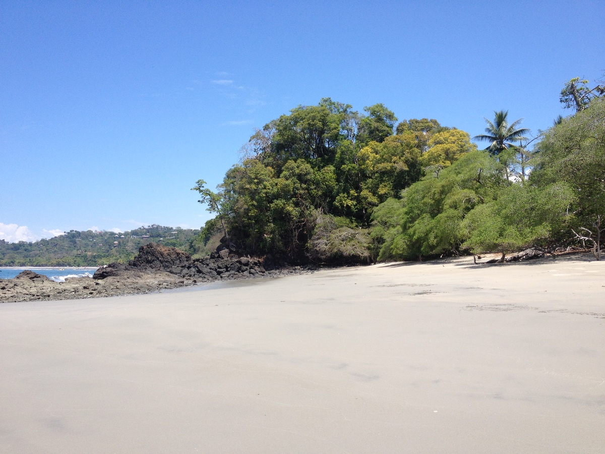 Picture Costa Rica Manuel Antonio 2015-03 371 - Monument Manuel Antonio