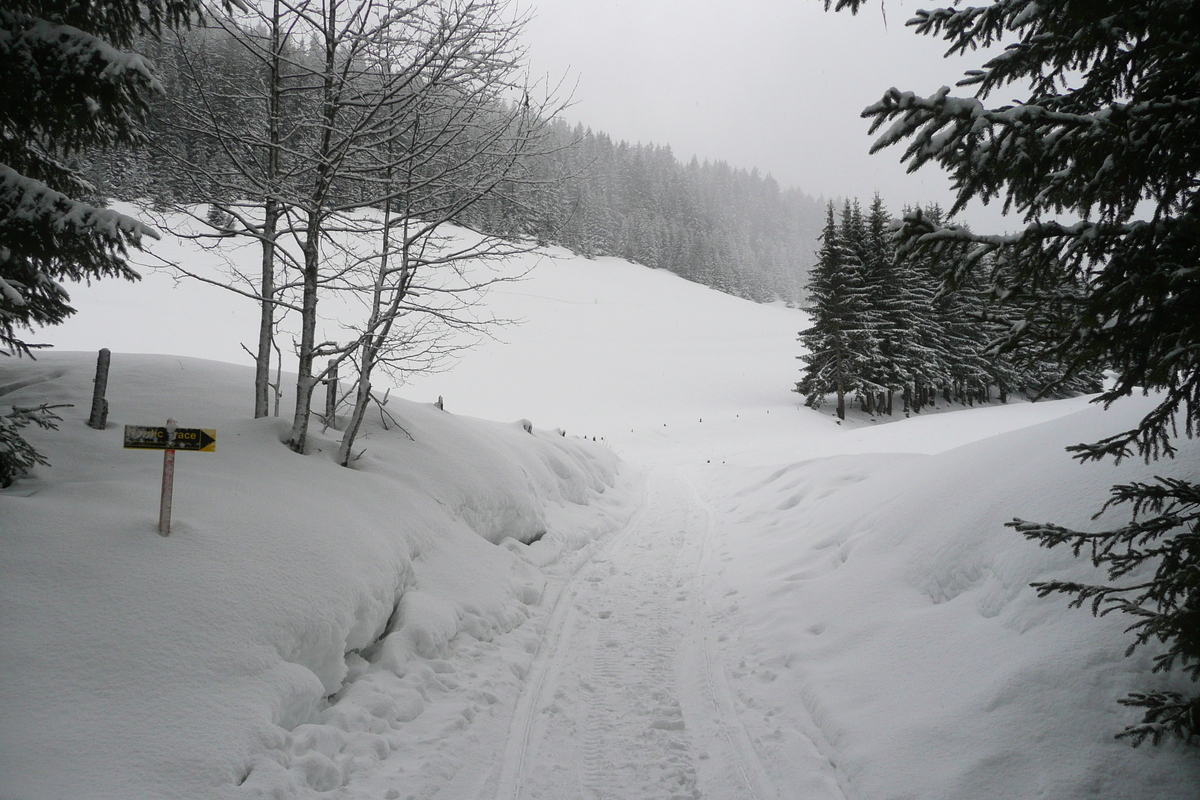 Picture France Megeve Le Planay 2010-02 13 - Winter Le Planay