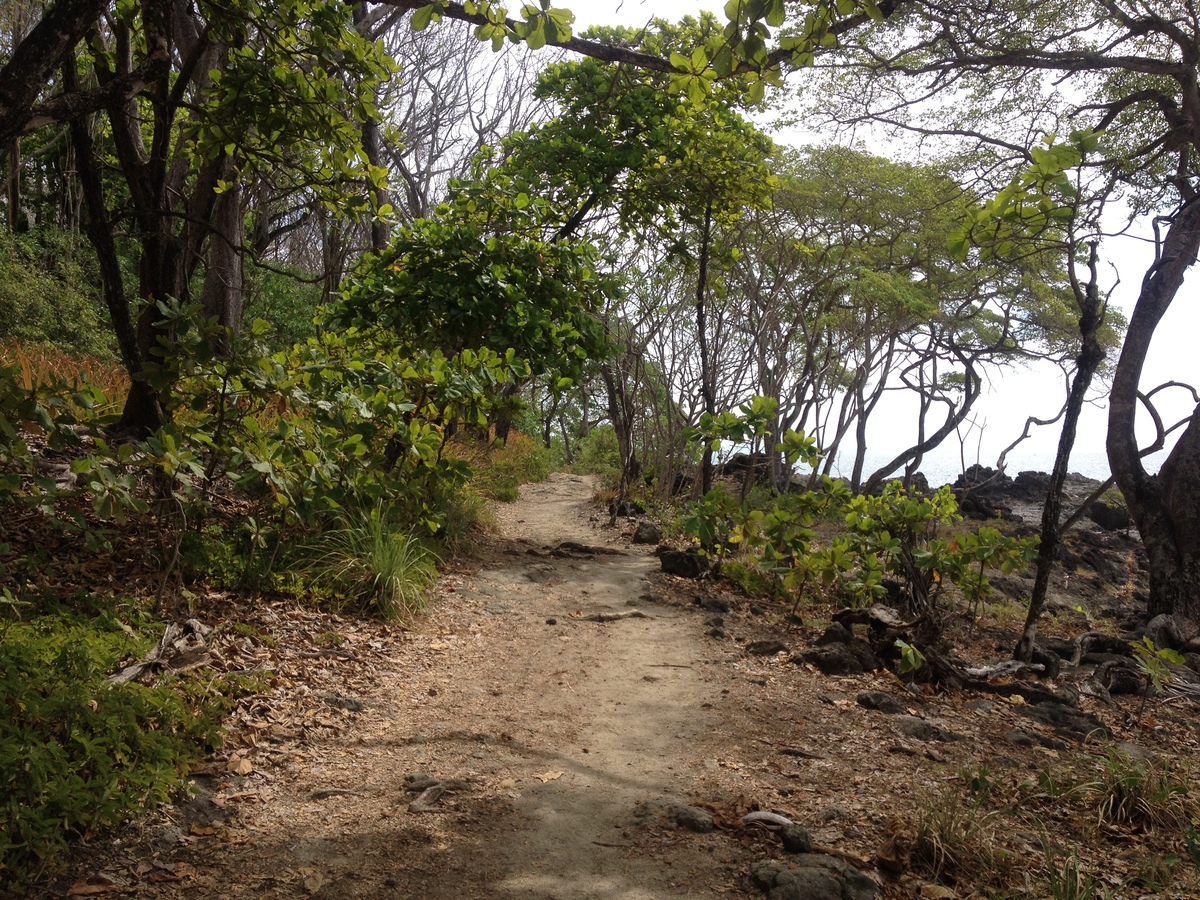 Picture Costa Rica Montezuma 2015-03 130 - Lake Montezuma