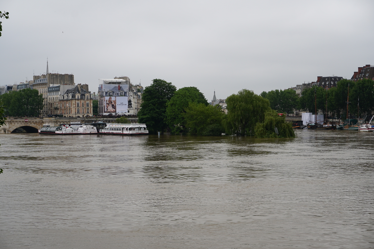 Picture France Paris Seine river 2016-06 26 - City Seine river