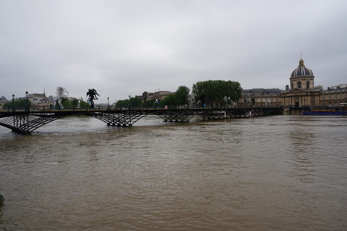 Picture France Paris Seine river 2016-06 39 - Cost Seine river