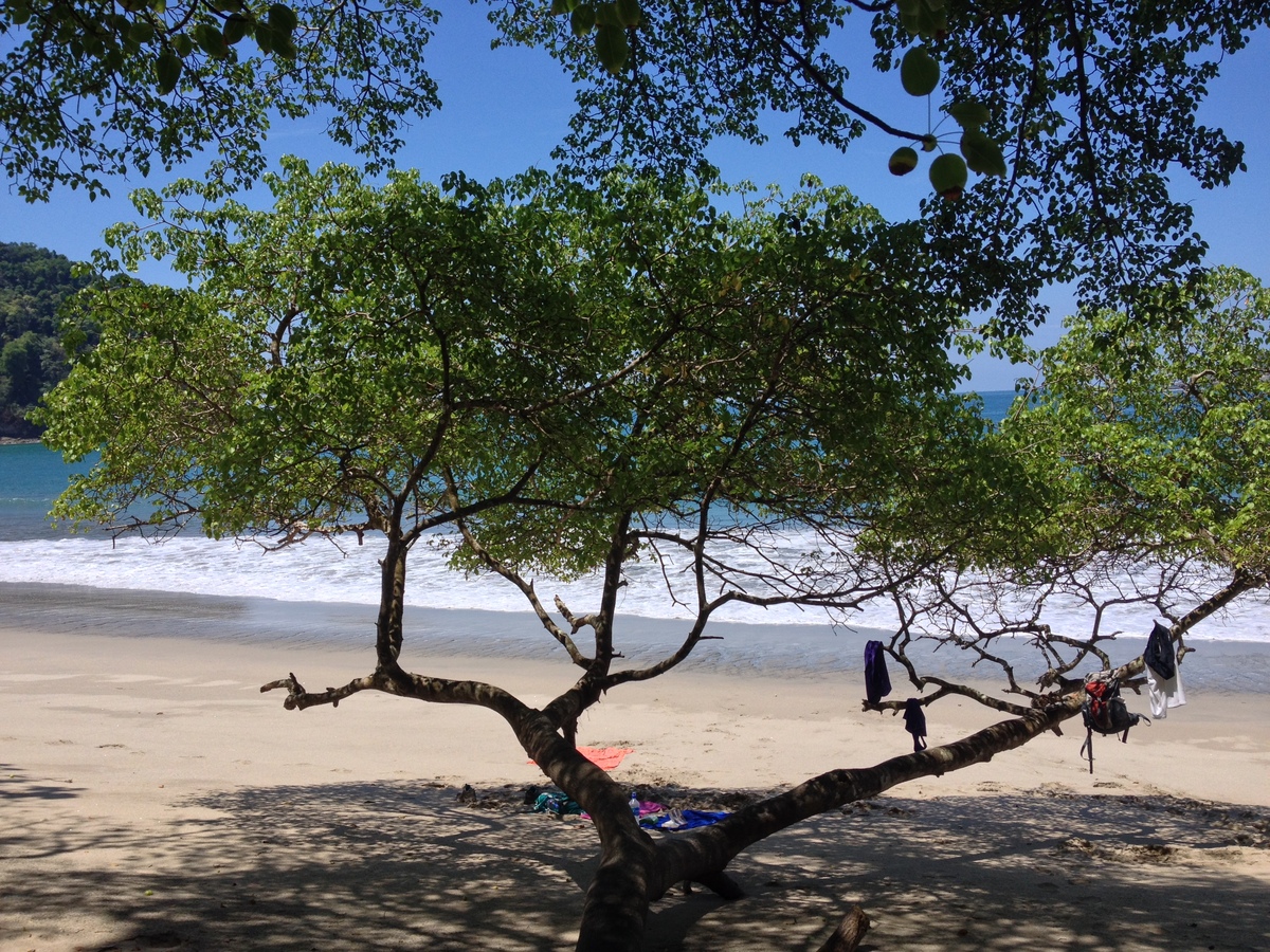 Picture Costa Rica Manuel Antonio 2015-03 154 - Resort Manuel Antonio